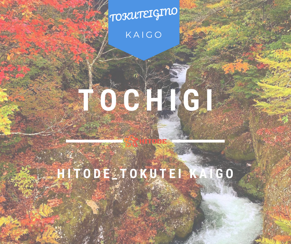 2021039 TOKUTEIGINO KAIGO TOCHIGI