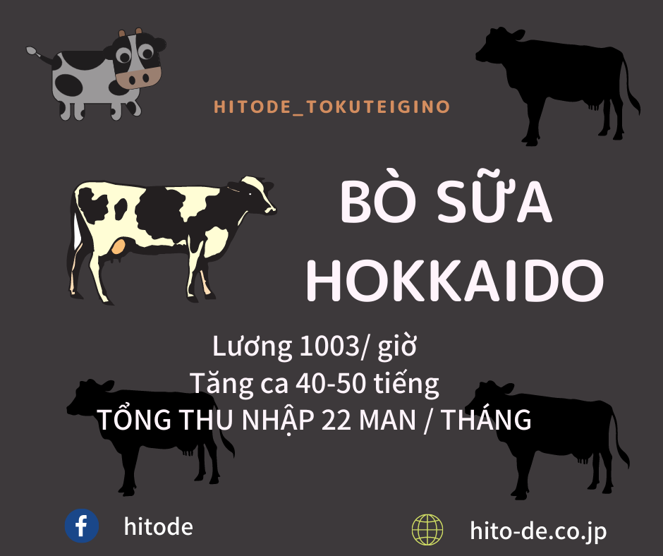 2021041 BÒ SỮA HOKKAIDO